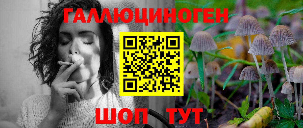 Алапаевск  Галлюциногенные грибы Cubensis  Галлюциногенные грибы Psilocybine cubensis  Вход с VPN 